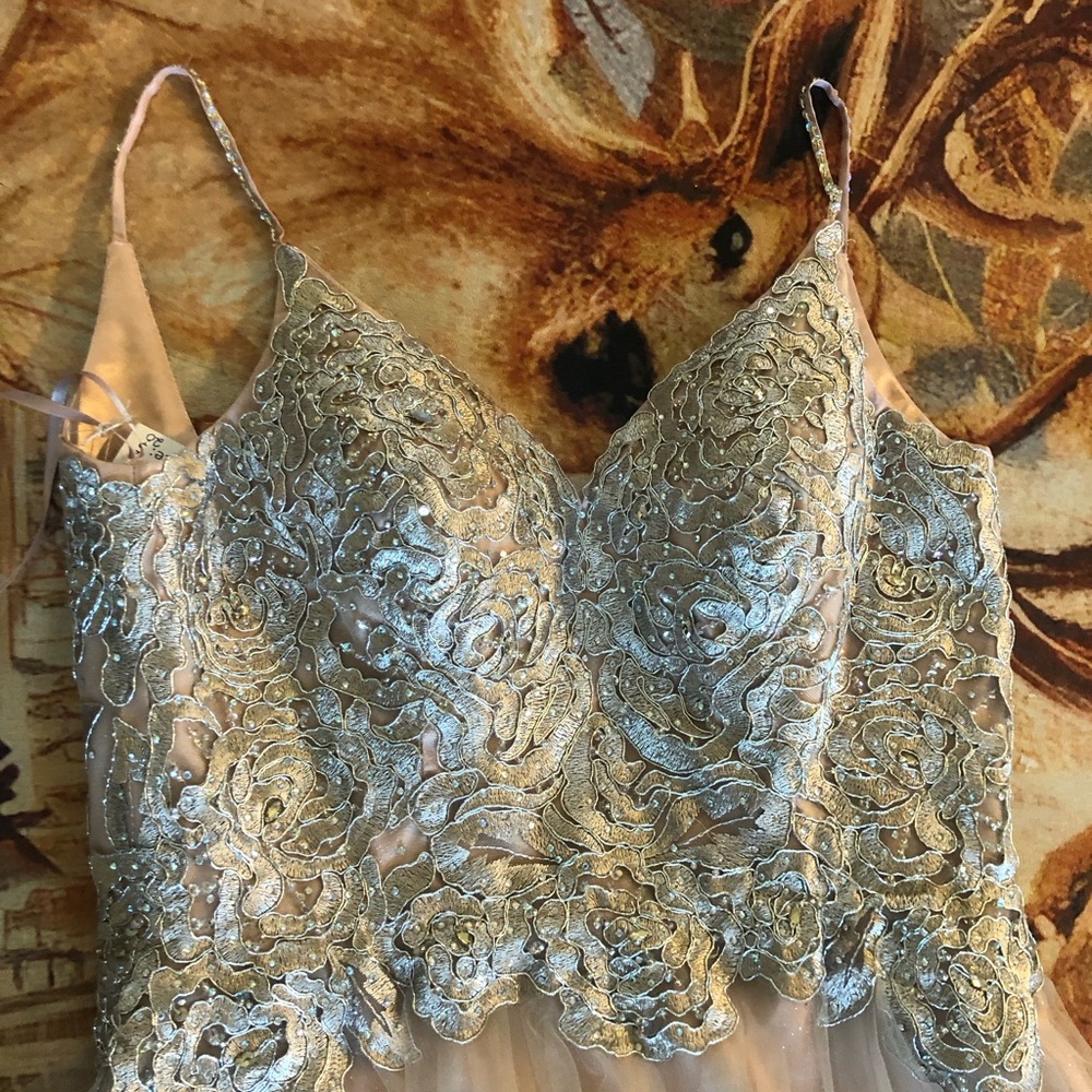 Aspeed maxi nwt size large Sparkle Lace Bodice Tulle Gown - pink/Champagne - Picture 3 of 5